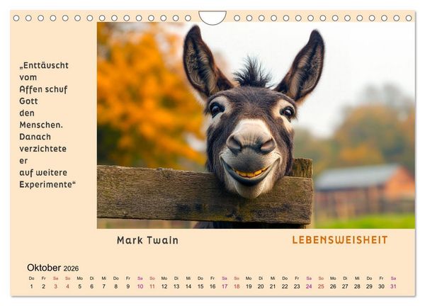 Produktbild: Pfiffig und weise (Wandkalender 2026 DIN A4 quer), CALVENDO Monatskalender