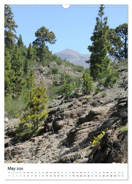 Produktbild: Tenerife - The volcanic island (Wall Calendar 2026 DIN A3 portrait), CALVENDO 12 Month Wall Calendar