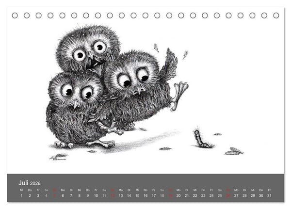 Produktbild: owls & friends 2026 (Tischkalender 2026 DIN A5 quer), CALVENDO Monatskalender