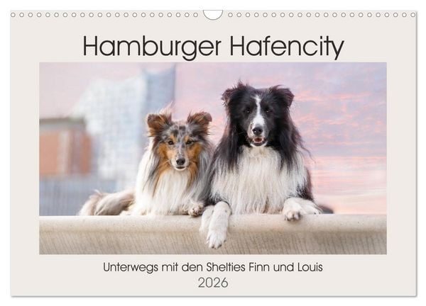Produktbild: Hamburger Hafencity - Unterwegs mit den Shelties Finn und Louis (Wandkalender 2026 DIN A3 quer), CALVENDO Monatskalender