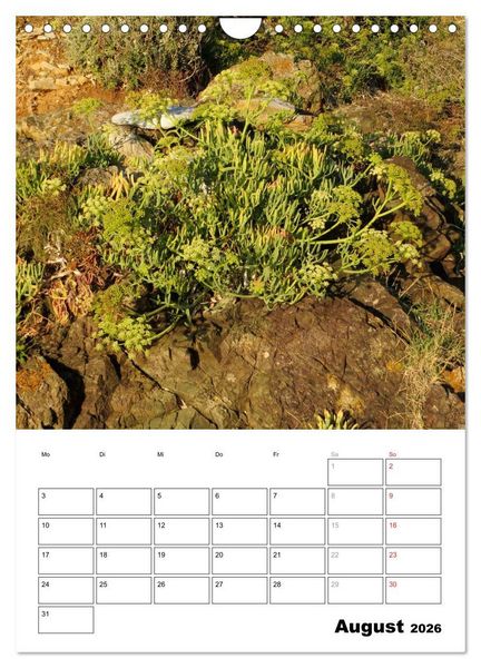 Produktbild: ELBA Trauminsel der Toskana (Wandkalender 2026 DIN A4 hoch), CALVENDO Monatskalender