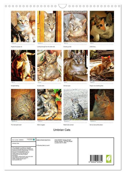 Produktbild: Umbrian Cats (Wall Calendar 2026 DIN A3 portrait), CALVENDO 12 Month Wall Calendar