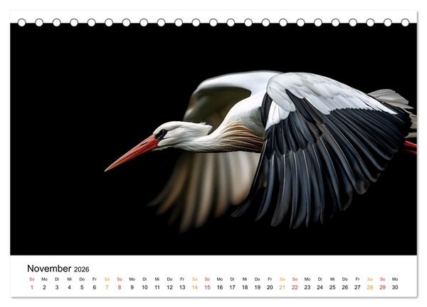 Produktbild: Wilde Heimat - V&ouml;gel unserer Natur (Tischkalender 2026 DIN A5 quer), CALVENDO Monatskalender