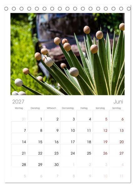 Produktbild: Tischplaner 2027 - Fr&uuml;chte der Karibik (A5 Tischkalender zum Aufstellen) CALVENDO