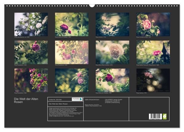 Produktbild: Die Welt der Alten Rosen (Wandkalender 2026 DIN A2 quer), CALVENDO Monatskalender