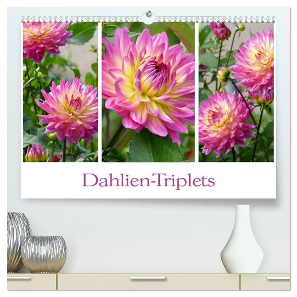 Produktbild: Dahlien-Triplets (hochwertiger Premium Wandkalender 2026 DIN A2 quer), Kunstdruck in Hochglanz