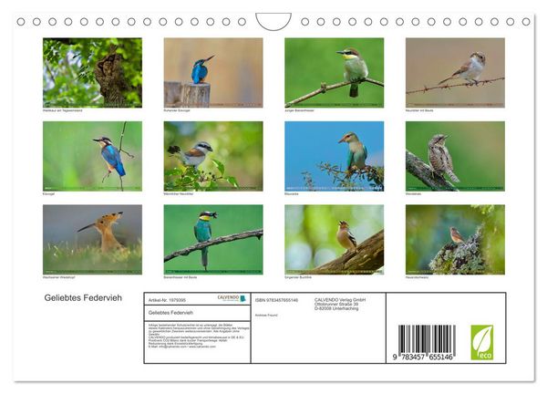 Produktbild: Geliebtes Federvieh (Wandkalender 2026 DIN A4 quer), CALVENDO Monatskalender