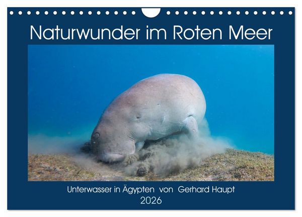 Naturwunder im Roten Meer (Wandkalender 2026 DIN A4 quer), CALVENDO Monatskalender
