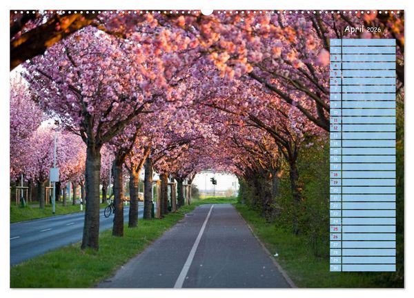Produktbild: Magdeburg an der Elbe - Der Planer (Wandkalender 2026 DIN A2 quer), CALVENDO Monatskalender