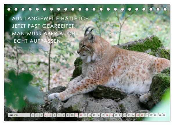 Produktbild: M&uuml;de, faul und arbeitsscheu (Tischkalender 2026 DIN A5 quer), CALVENDO Monatskalender