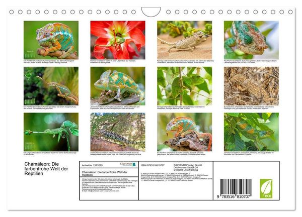 Produktbild: Cham&auml;leon: Die farbenfrohe Welt der Reptilien (Wandkalender 2027 DIN A4 quer), CALVENDO Monatskalender