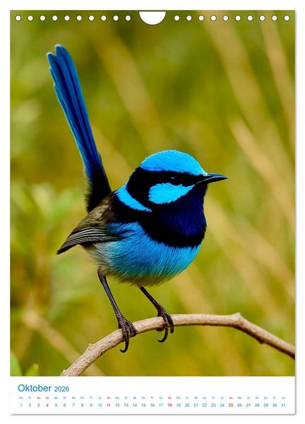 Produktbild: Blaue V&ouml;gel (Wandkalender 2026 DIN A4 hoch), CALVENDO Monatskalender