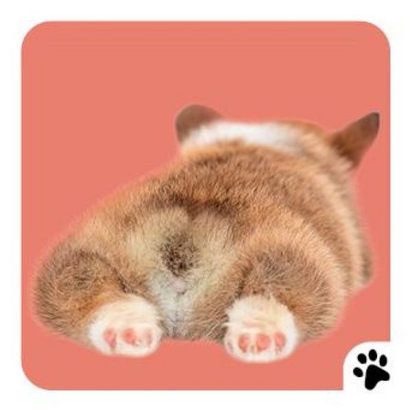 Produktbild: Memo-Spiel: Fluffy Butts &ndash; Finde den passenden Po zum Kopf!