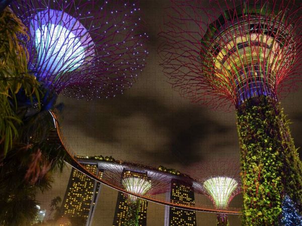 Produktbild: CALVENDO Puzzle Die Superb&auml;ume im "Garden by the Bay" | 1000 Teile Lege-Gr&ouml;&szlig;e 64x48cm Foto-Puzzle f&uuml;r gl&uuml;ckliche Stunden