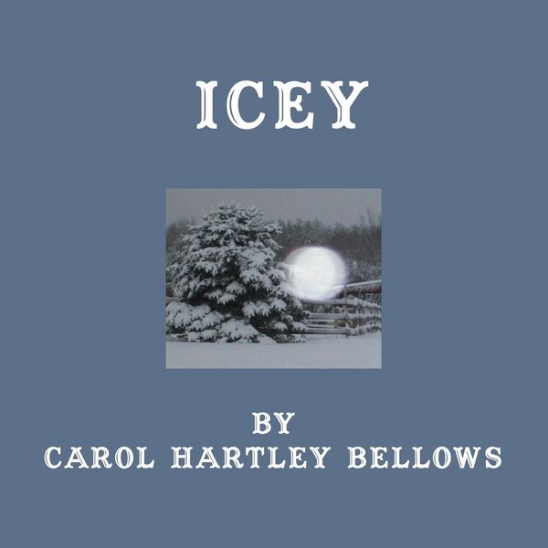 Produktbild: Icey