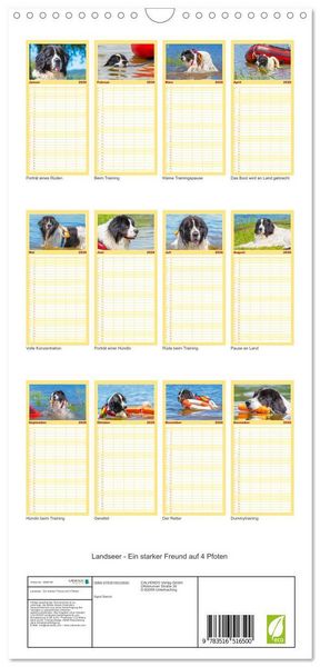 Produktbild: Familienplaner 2026 - Landseer - Ein starker Freund auf 4 Pfoten mit 5 Spalten (Wandkalender, 21 x 45 cm) CALVENDO