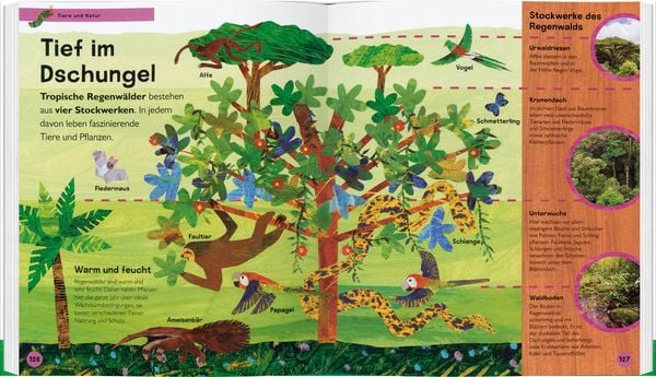 Produktbild: Die kleine Raupe Nimmersatt - Mein Lexikon