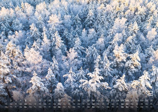 Produktbild: Wald - Erholung f&uuml;r Mensch und Tier - 2027 - Kalender DIN A3