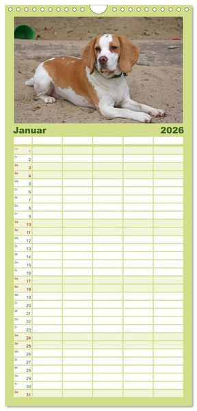 Produktbild: Familienplaner 2026 - Beagle mit 5 Spalten (Wandkalender, 21 x 45 cm) CALVENDO