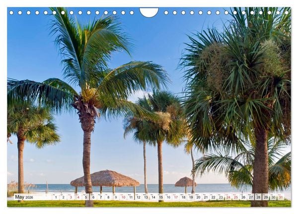 Produktbild: FLORIDA The Sunshine State (Wall Calendar 2026 DIN A4 landscape), CALVENDO 12 Month Wall Calendar