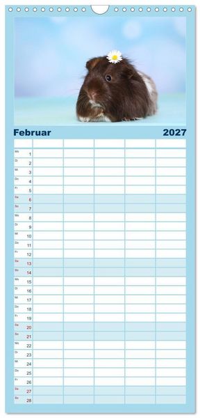 Produktbild: Familienplaner 2027 - Niedliche Meerschweinchen mit 5 Spalten (Wandkalender, 21 x 45 cm) CALVENDO