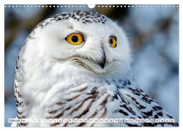 Produktbild: ARKTISCHE TIERE Im Reich der K&auml;lte (Wandkalender 2026 DIN A3 quer), CALVENDO Monatskalender