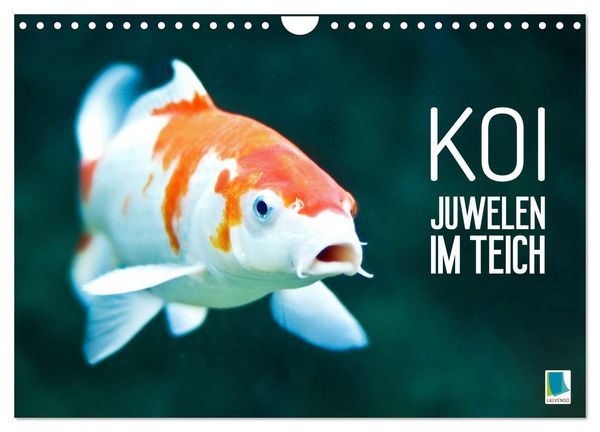 Produktbild: Koi: Juwelen im Teich (Wandkalender 2027 DIN A4 quer), CALVENDO Monatskalender
