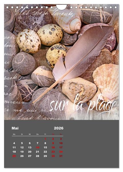 Produktbild: Geschenke vom Meer (Wandkalender 2026 DIN A4 hoch), CALVENDO Monatskalender