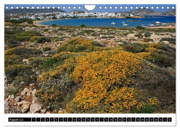Produktbild: Inselh&uuml;pfen Kykladen Santorini - Naxos - Paros - Mykonos (Wandkalender 2026 DIN A4 quer), CALVENDO Monatskalender
