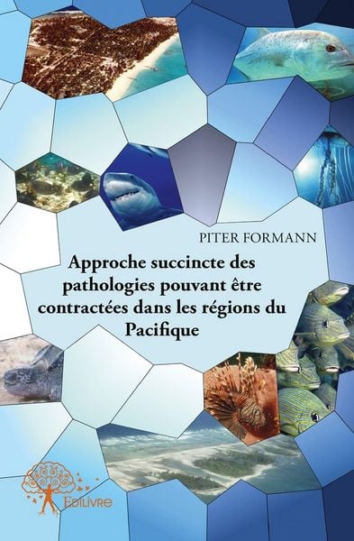 Produktbild: Approche succincte des