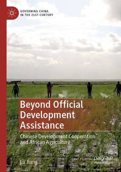 Produktbild: Beyond Official Development Assistance