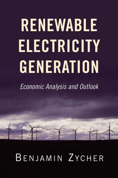 Produktbild: Renewable Electricity Generation