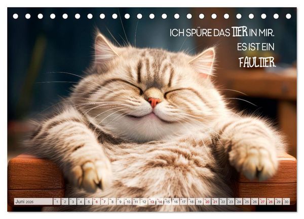 Produktbild: S&uuml;&szlig;e Katzen und coole Spr&uuml;che (Tischkalender 2026 DIN A5 quer), CALVENDO Monatskalender