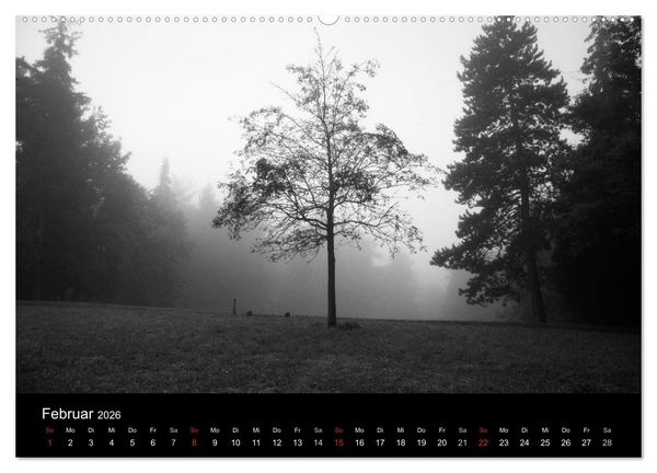 Produktbild: B&auml;ume trees 2026 (Wandkalender 2026 DIN A2 quer), CALVENDO Monatskalender