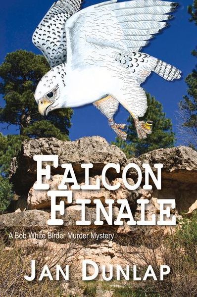 Produktbild: Falcon Finale