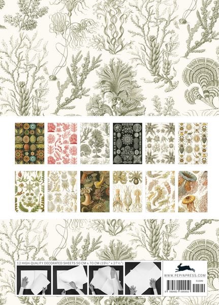 Produktbild: Art Forms in Nature
