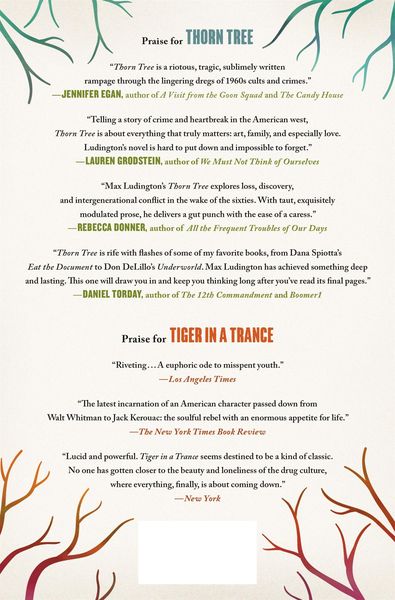 Produktbild: Thorn Tree