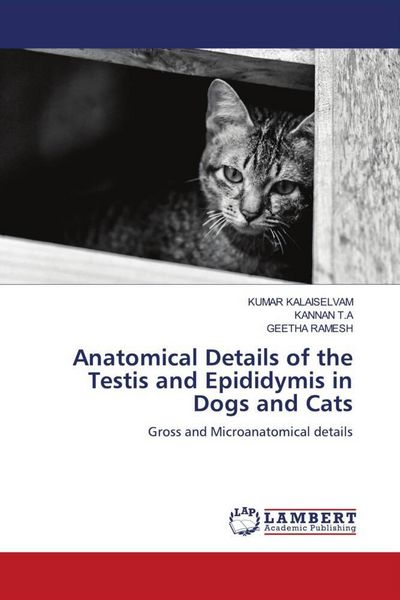 Produktbild: Anatomical Details of the Testis and Epididymis in Dogs and Cats