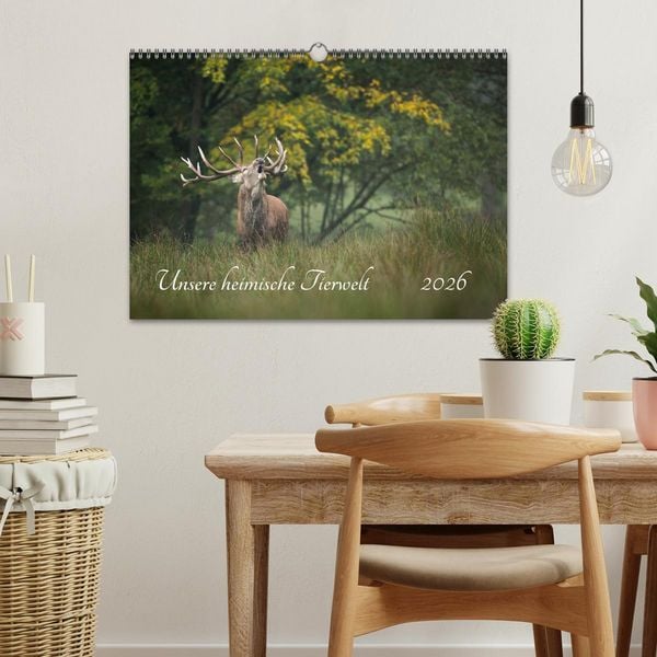 Produktbild: Unsere heimische Tierwelt (Wandkalender 2026 DIN A3 quer), CALVENDO Monatskalender