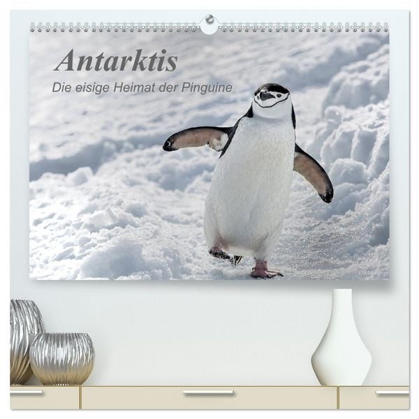 Produktbild: Antarktis, die eisige Heimat der Pinguine (hochwertiger Premium Wandkalender 2026 DIN A2 quer), Kunstdruck in Hochglanz