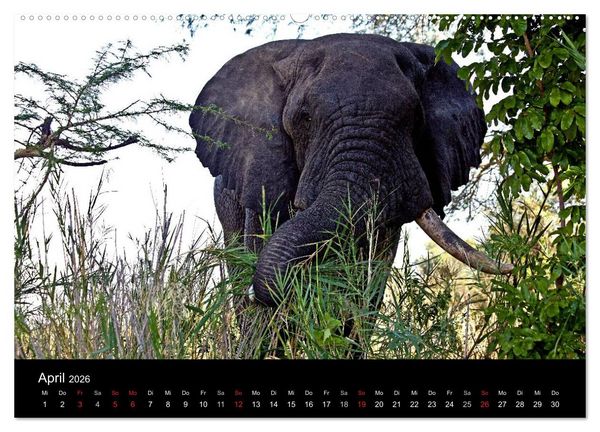 Produktbild: Malawi (Wandkalender 2026 DIN A2 quer), CALVENDO Monatskalender