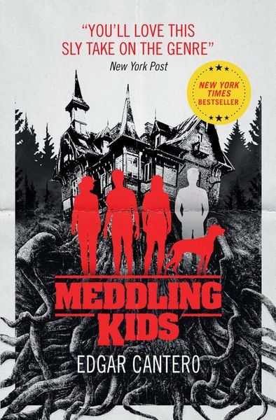 Produktbild: Meddling Kids