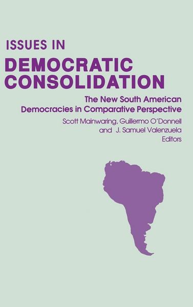 Produktbild: Issues in Democratic Consolidation