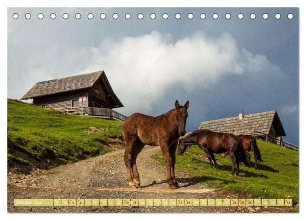 Produktbild: Die Feistritzer Alm - Wandern in den K&auml;rntner Bergen (Tischkalender 2026 DIN A5 quer), CALVENDO Monatskalender