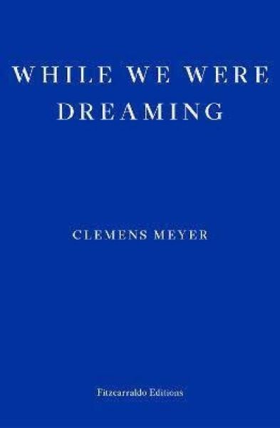 Produktbild: While We Were Dreaming