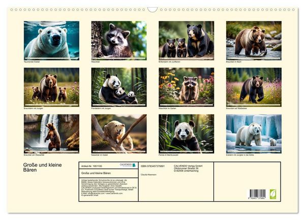 Produktbild: Gro&szlig;e und kleine B&auml;ren (Wandkalender 2026 DIN A2 quer), CALVENDO Monatskalender