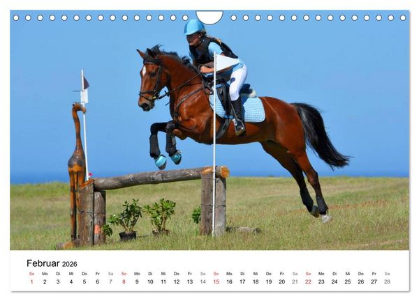 Produktbild: Vielseitigkeitsreiten (Wandkalender 2026 DIN A4 quer), CALVENDO Monatskalender