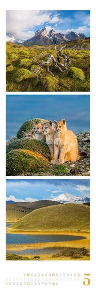 Produktbild: Nature Triplet-Kalender 2027