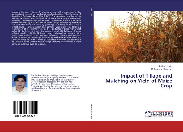 Produktbild: Impact of Tillage and Mulching on Yield of Maize Crop