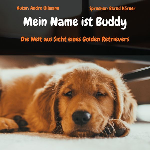 Mein Name ist Buddy - Die Welt aus Sicht eines Golden Retrievers - André Ullmann, Audio, 4069829142779